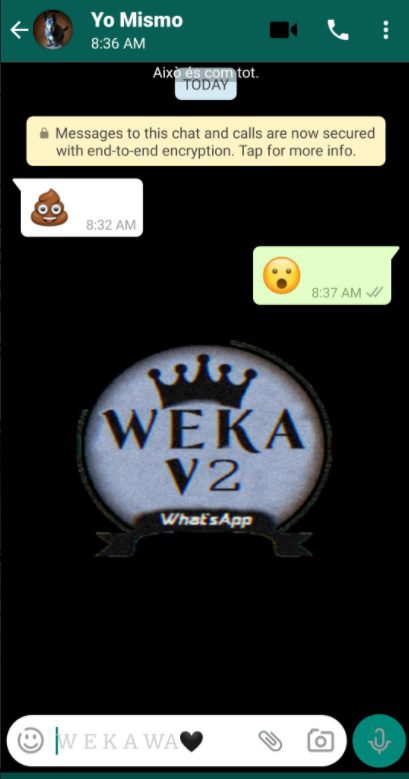 WEKA WhatsApp
