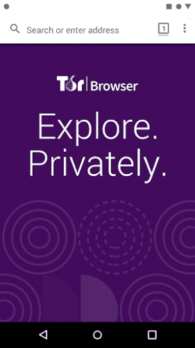 Tor browser bundle alpha mega как настроить в браузере тор страну mega вход