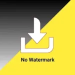 TikSnap: no watermark download