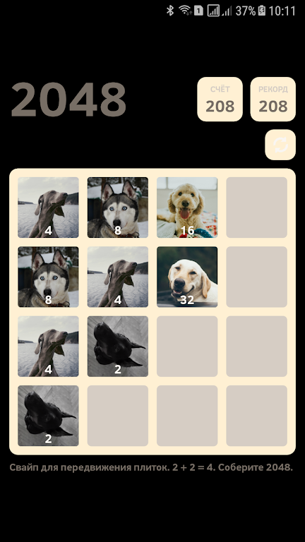 Dogs 2048