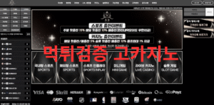 먹튀검증 고카지노
