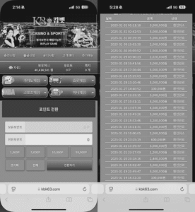킹벳 먹튀 검거자료