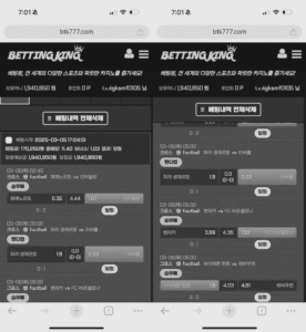 베팅킹 먹튀자료