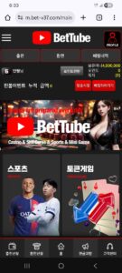 벳튜브 먹튀자료